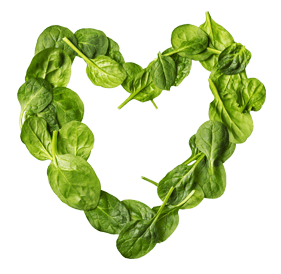 Taste-of-Love-Catering-Spinach